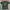 Vintage Y2K T-shirt Pria Green