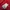 Nike Vintage Sportswear Jersey Pria red photo 6