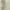 Axes Femme Lolita Coquette Maxi skirt Wanita khaki cream photo 6