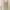 Axes Femme Lolita Coquette Maxi skirt Wanita khaki cream photo 4