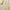 Y2K Coquette Sweater Wanita cream photo 5