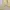 Y2K Coquette Sweater Wanita cream photo 2
