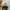 Nike Sportswear Casual Sneakers Pria silver white photo 7