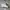 Adidas Casual Sneakers Pria white green photo 1