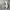 Adidas Casual Sneakers Pria white green photo 6