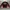 Biker Fleece Pria red black photo 1