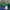 Nike Y2K Sportswear Track jacket Pria purple green photo 4