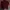Polo Ralph Lauren Minimalist Casual Polo shirt Pria burgundy red photo 1