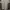 Giordano Casual Polo shirt Pria gray photo 2