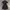 Anna Sui Fairy Coquette Summer dress Wanita multicolor photo 1