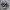 Converse Casual Sneakers Pria white black photo 1
