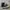 Converse Casual Sneakers Pria white black photo 3