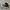 Converse Casual Sneakers Pria white black photo 2