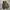 Converse Casual Sneakers Pria cream photo 6