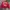 Vintage Streetwear Bomber jacket Pria red photo 1