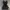Japanese Brand Goth Emo Midi Dress Wanita Black