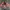 Japanese brand Y2K Goth Crop top Wanita multicolor photo 1