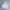 thisisneverthat Streetwear Hoody Pria white photo 1