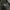 Carhartt Streetwear Hoody Pria black photo 5