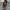 GAP Vintage Streetwear Hoody Pria brown photo 1