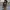 GAP Vintage Streetwear Hoody Pria Brown
