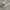 Converse Streetwear Casual Sneakers Wanita white gray photo 1