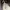 Streetwear Casual Casual shoe Pria white photo 1
