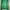 Casual Sweater Pria green photo 1