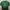 Casual Sweater Pria green photo 2