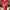 Sportswear Jersey Pria white red photo 1