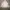 Attention Vintage Windbreaker Pria white photo 1