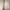 Attention Vintage Windbreaker Pria white photo 3