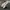 Adidas Casual Sneakers Pria White