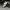 Adidas Casual Sneakers Pria white photo 1