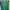 Global Work Casual Sweater Wanita Green