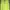 Under Armour Sportswear Jersey Pria Yellow