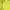 Under Armour Sportswear Jersey Pria Yellow