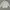 Playboy Biker Casual Bomber Jacket Pria White
