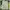 Casual Sweater Wanita green photo 3