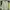 Casual Sweater Wanita green photo 1