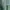 The North Face Casual Polo shirt Pria green photo 3
