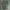 The North Face Casual Polo shirt Pria green photo 1