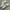 Nike Streetwear Casual Sneakers Wanita white black photo 1