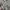 Uniqlo Casual Sweater Wanita white gray photo 4