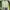 Spao Casual Pea coat Wanita green photo 4