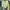 Spao Casual Pea coat Wanita green photo 1