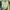Spao Casual Pea Coat Wanita Green