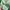 Spao Casual Pea coat Wanita green photo 2