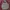 Helly Hansen Sportswear Casual Puffer jacket Pria multicolor photo 1