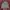 Helly Hansen Sportswear Casual Puffer jacket Pria multicolor photo 2